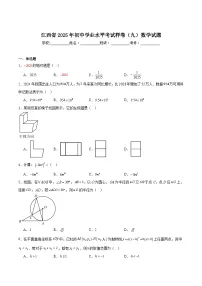 江西省2025届初中学业水平考试(九)数学试卷(含解析)