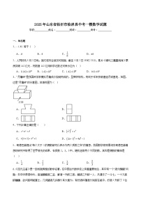 山东省临沂市临沭县2025届九年级下学期中考一模数学试卷(含解析)