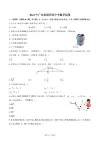 2025年广东省深圳市中考数学试卷（含解析）