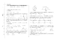西藏自治区日喀则市萨嘎县2025届九年级下学期中考一模数学试卷(含答案)