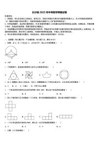 长沙县2025年中考数学押题试卷含解析