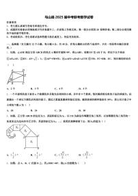马山县2025届中考联考数学试卷含解析
