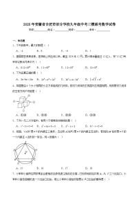 安徽省合肥市2025届九年级下学期中考三模数学试卷(含解析)