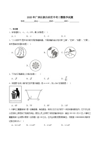 广西壮族自治区2025届九年级下学期中考三模数学试卷(含解析)