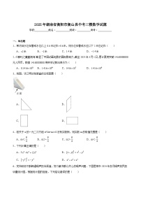 湖南省衡阳市衡山县2025届九年级下学期中考三模数学试卷(含解析)