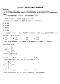 2024-2025学年霸州市中考五模数学试题含解析
