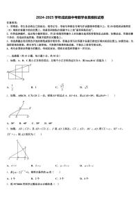 2024-2025学年成武县中考数学全真模拟试卷含解析