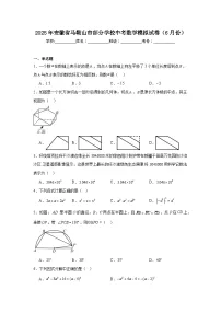 2025年安徽省马鞍山市部分学校中考数学模拟试卷（6月份）（无答案）