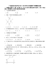 广东省汕头市金平区2024—2025学年七年级数学下学期期末试卷