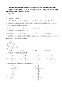 贵州省黔东南苗族侗族自治州2023-2024学年八年级下学期期末数学试题