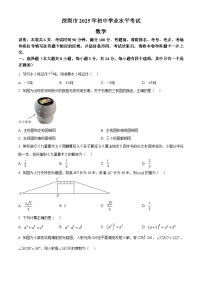 2025年广东省深圳市中考数学试题(无答案)