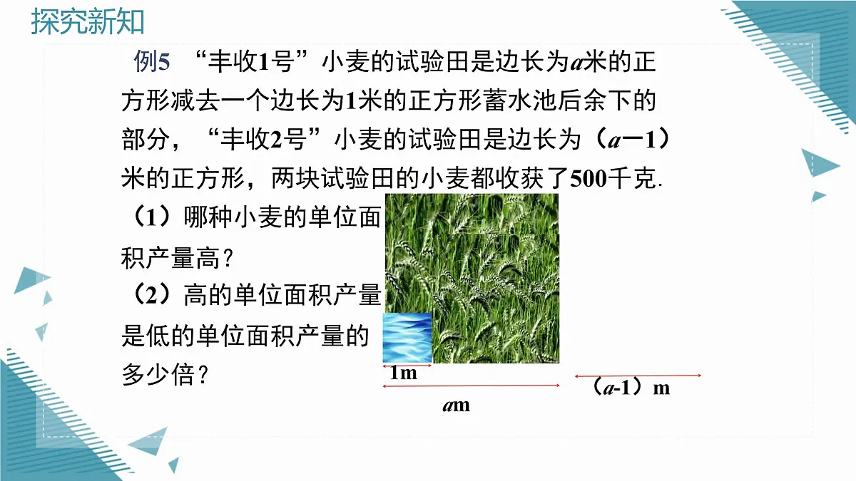 2025湘教版版教材初中数学八年级上册2.3 分式的乘法和除法第2课时课件第5页