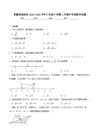 安徽省淮南市2024-2025学年八年级下学期4月期中考试数学试卷(含解析）