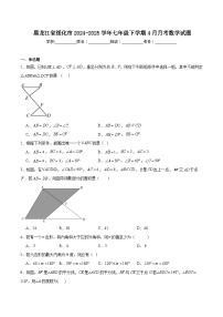 黑龙江省绥化市2024-2025学年七年级下学期4月月考数学试卷(含解析)