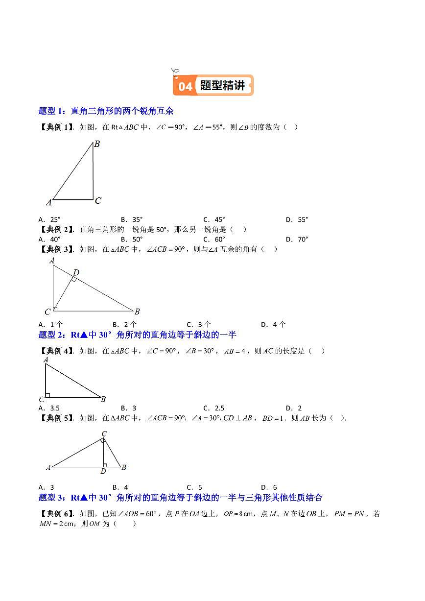 第29讲 直角三角形的性质(七大题型)(原卷版)第3页