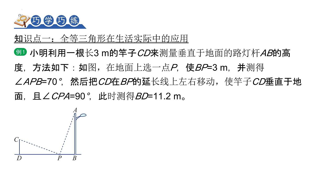 1.4++全等三角形的性质与应用+期末复习专题突破+课件-2024-2025学年浙教版数学八年级上册第5页