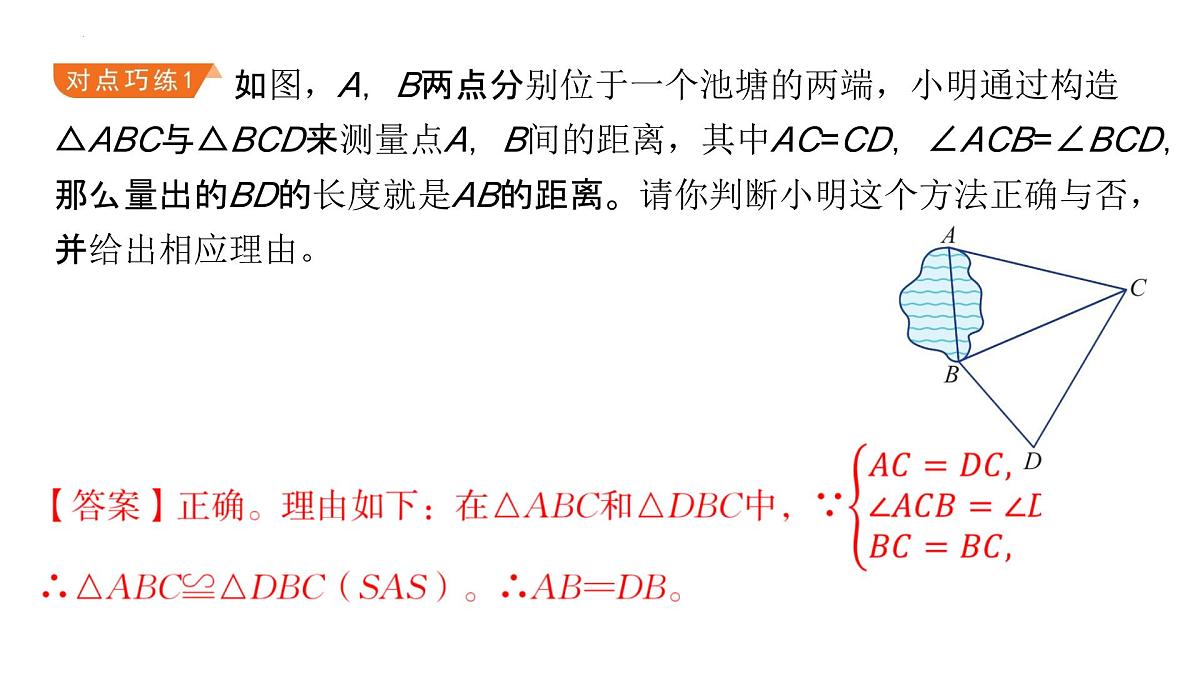 1.4++全等三角形的性质与应用+期末复习专题突破+课件-2024-2025学年浙教版数学八年级上册第8页