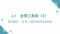 初中数学湘教版(2024)八年级上册(2024)4.3 全等三角形优质课课件ppt