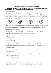 广西壮族自治区玉林市2025年中考三模数学试题(含答案解析)