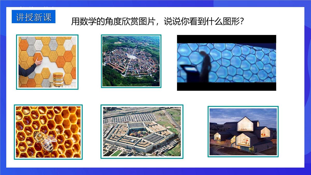 鲁教版(五四制)(2024)数学六下5.3《多边形和圆的初步认识》课件第3页