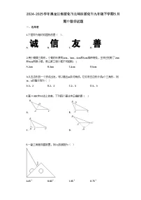 2024–2025学年黑龙江省绥化市北林区绥化市九年级下学期5月期中数学试题[附答案]