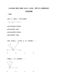 人教版（2024）七年级上册（2024）几何图形练习