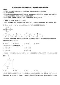 文山壮族苗族自治州马关县2025届中考数学模拟预测试卷含解析