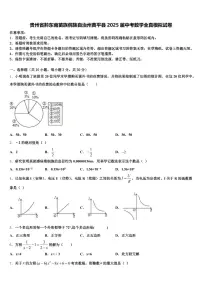 贵州省黔东南苗族侗族自治州黄平县2025届中考数学全真模拟试卷含解析