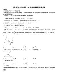 河北省石家庄市栾城县2025年中考数学最后一模试卷含解析