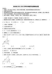 吉水县2024-2025学年中考数学全真模拟试卷含解析