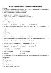 丽江地区宁蒗彝族自治县2025届初中数学毕业考试模拟冲刺卷含解析