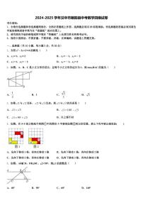 2024-2025学年汉中市略阳县中考数学四模试卷含解析