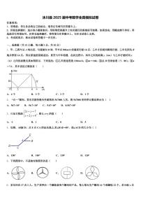 沐川县2025届中考数学全真模拟试卷含解析