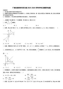 广西壮族桂林市灵川县2024-2025学年中考三模数学试题含解析