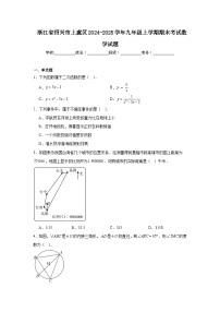 浙江省绍兴市上虞区2025届九年级上学期期末考试数学试卷(含解析)