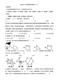 【9数二模】2025年安徽合肥市第四十五中学中考二模数学试卷