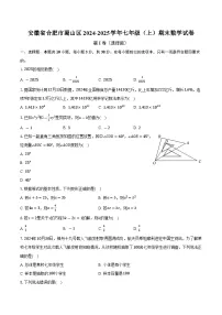 安徽省合肥市蜀山区2024-2025学年七年级(上)期末数学试卷