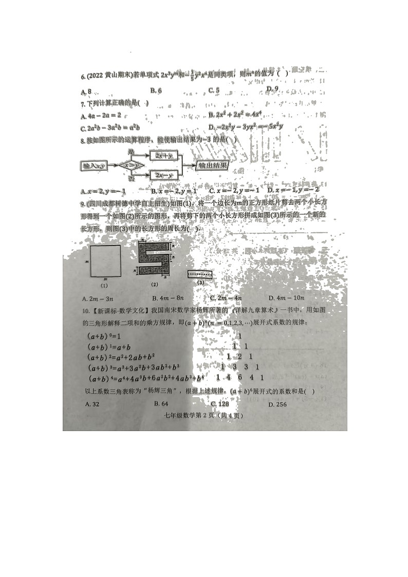 河南省洛阳市洛宁县2024-2025学年七年级上学期11月期中数学试题(图片版)第2页