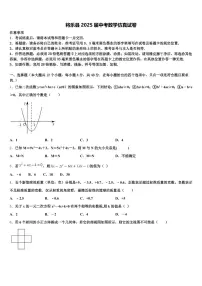 将乐县2025届中考数学仿真试卷含解析
