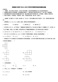 安徽省六安市2024-2025学年中考数学适应性模拟试题含解析
