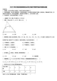 2025年红河哈尼族彝族自治州红河县中考数学适应性模拟试题含解析