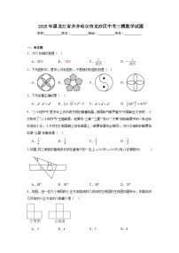 2025年黑龙江省齐齐哈尔市龙沙区中考三模数学试题（附答案解析）