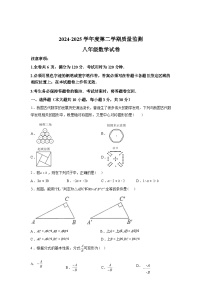 2024-2025学年广东省茂名市下学期八年级数学期末考试试卷
