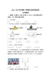 2024-2025学年广东省阳江市七年级下学期期末质量监测数学检测试卷