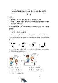 2024-2025学年河南省南阳市油田七年级下学期期末教学质量检测数学检测试卷