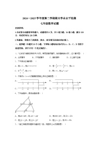 2024-2025学年山东省烟台市莱州市七年级下学期7月期末数学检测试卷[五四制]