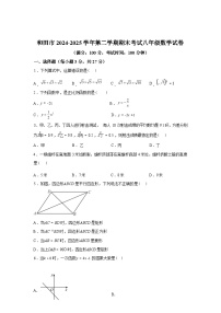 2024-2025学年新疆和田地区和田市下学期期末考试八年级数学检测试卷