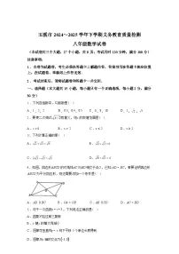 2024-2025学年云南省玉溪市下学期八年级数学期末试卷卷