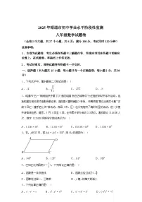 2024-2025学年云南省昭通市八年级下学期7月期末数学检测试卷