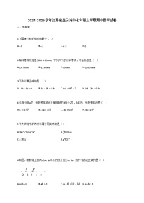 2024—2025学年_江苏连云港七年级上学期期中数学试卷[附解析]